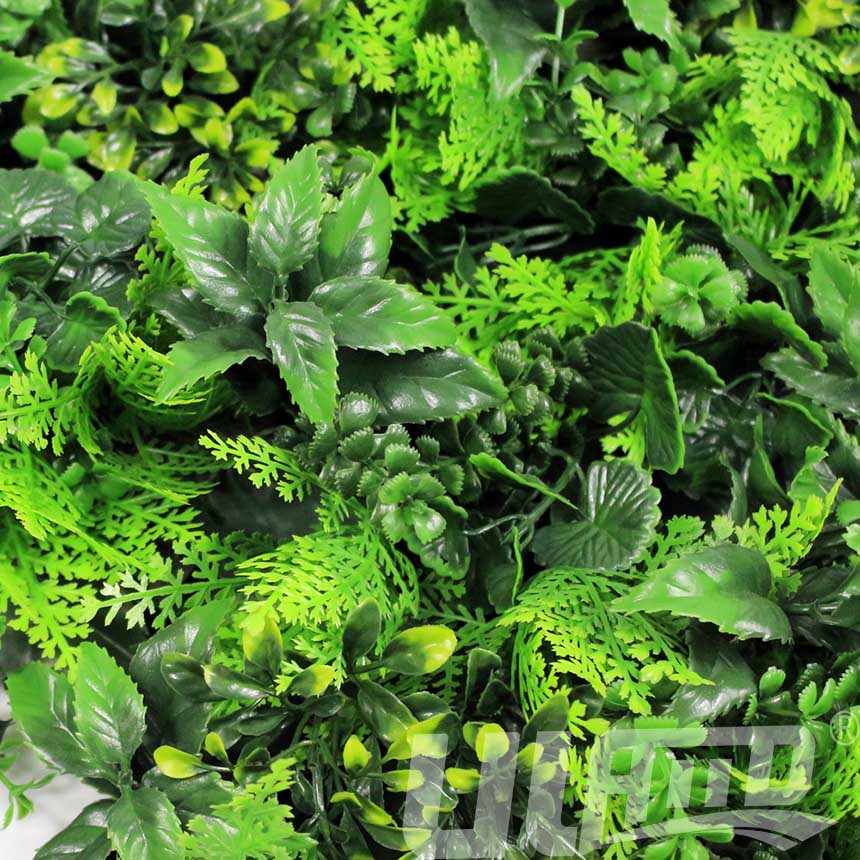 仿真植物A047局部图