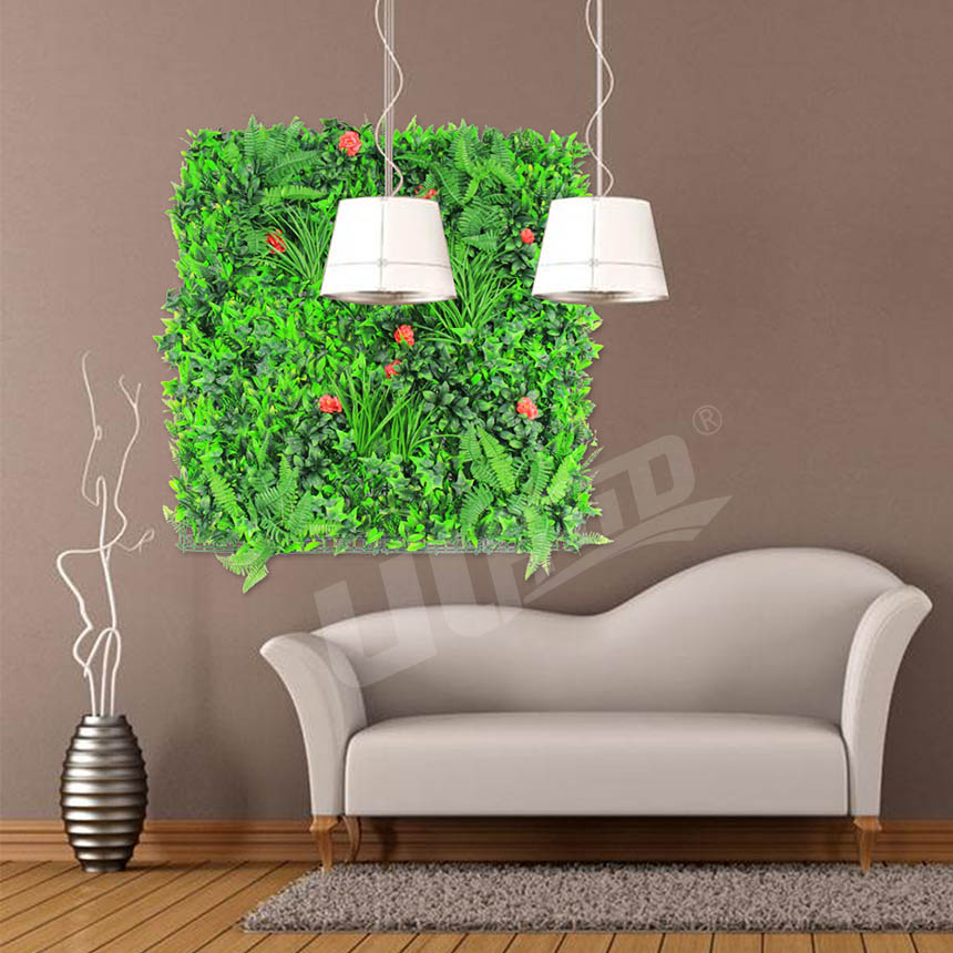 壁挂植物