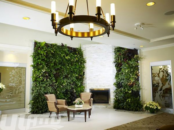 室内立体绿化植物墙