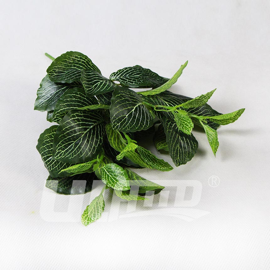 仿真植物网纹草