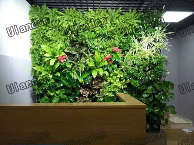 公司前台仿真植物墙