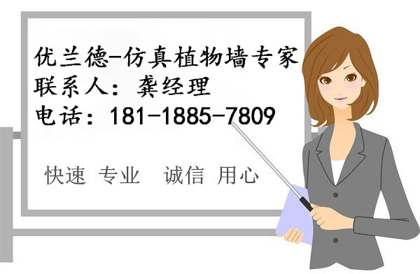 优兰德-仿真植物墙专家