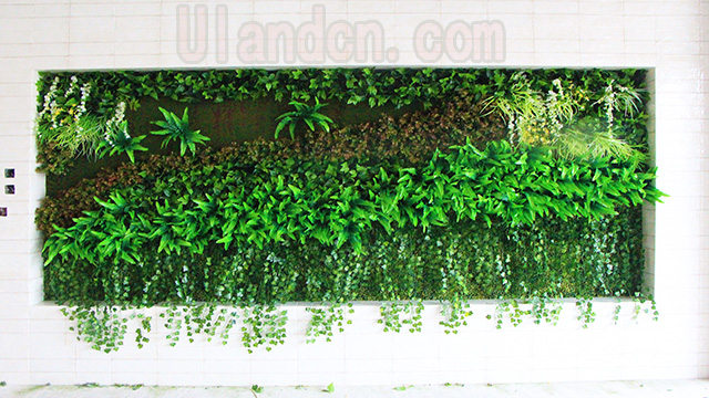 优兰德Uland,仿真植物墙专家!