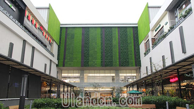优兰德Uland,仿真植物墙专家!
