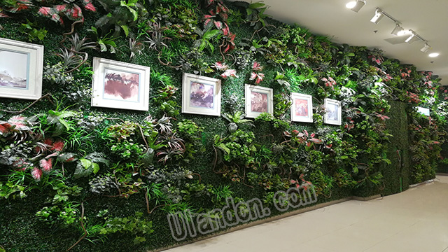 优兰德Uland,仿真植物墙专家!