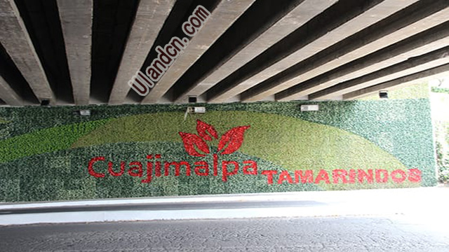 优兰德Uland,仿真植物墙专家!