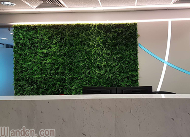 仿真植物墙品牌-优兰德