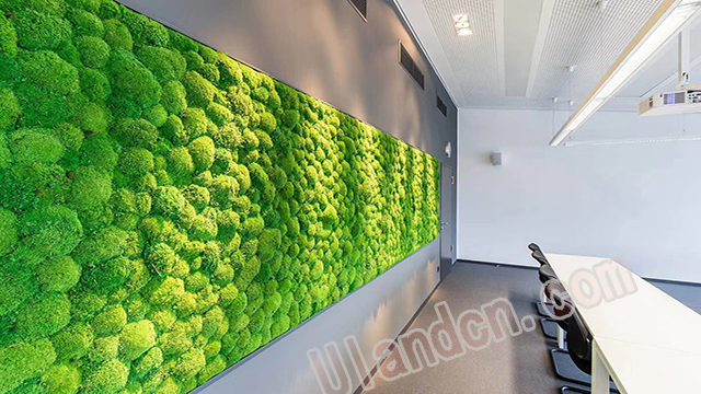 永生苔藓植物墙品牌-优兰德