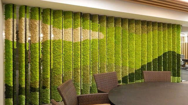 永生苔藓植物墙装饰的办公会议室-优兰德