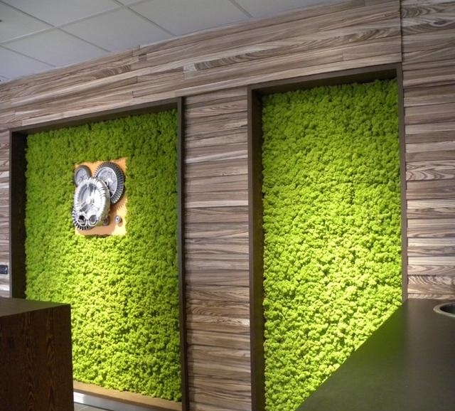 永生苔藓植物墙装饰的酒店大堂-优兰德