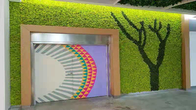 永生苔藓植物墙装饰的商场-优兰德