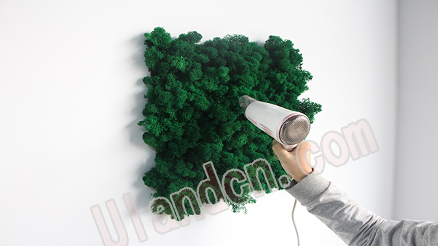 永生苔藓植物墙养护打理