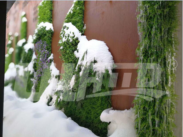 仿真植物墙工程案例效果图8