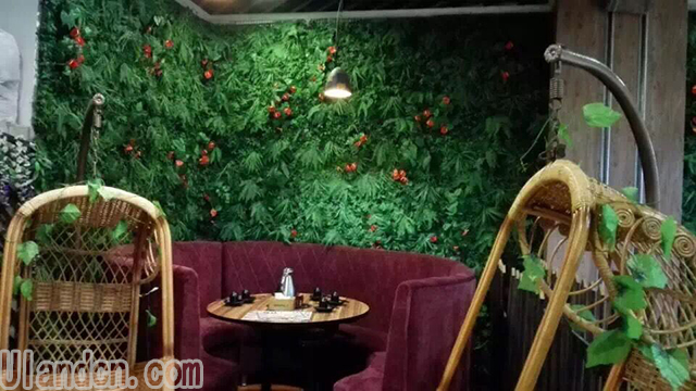 餐饮行业仿真植物墙