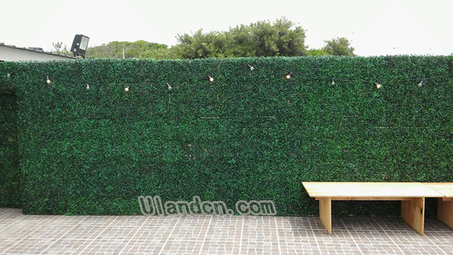 仿真植物墙厂家,优兰德!