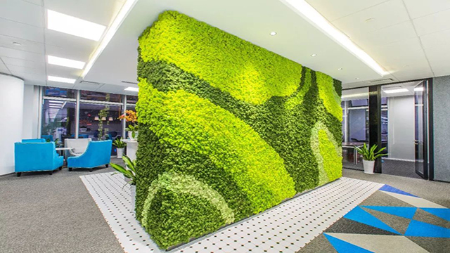 办公室永生苔藓植物墙