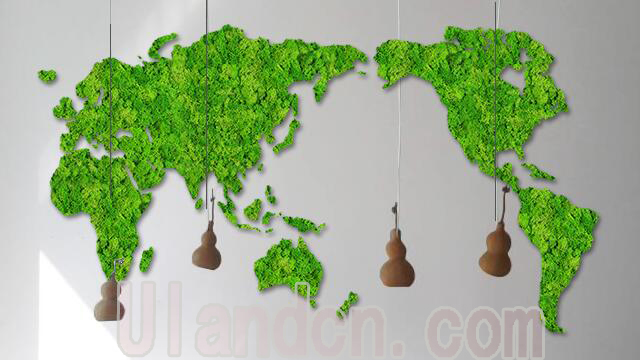 永生苔藓植物墙
