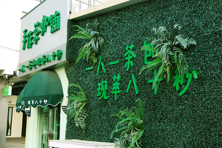 主题仿真植物墙