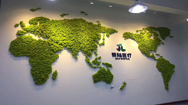 公司形象墙永生苔藓植物墙