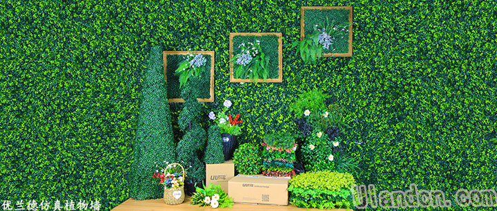仿真植物墙品牌-优兰德