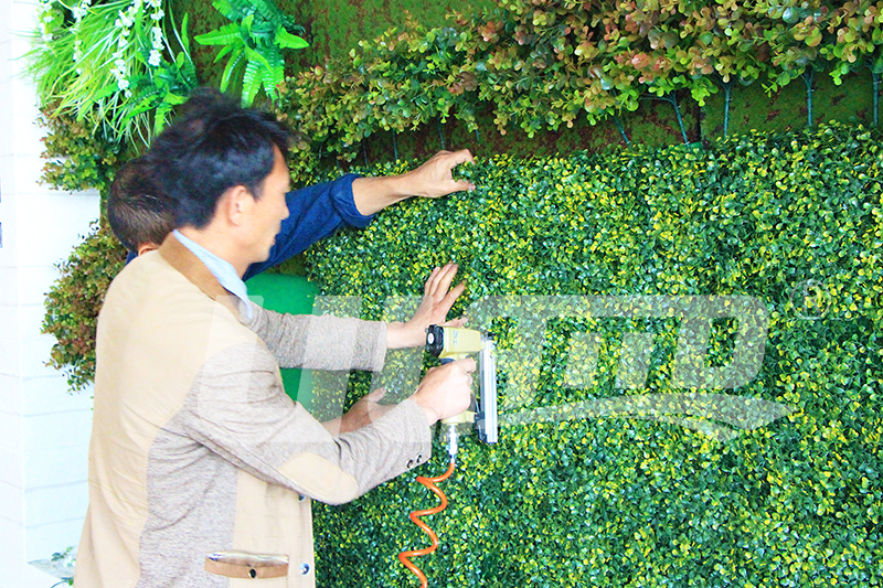室内仿真植物墙