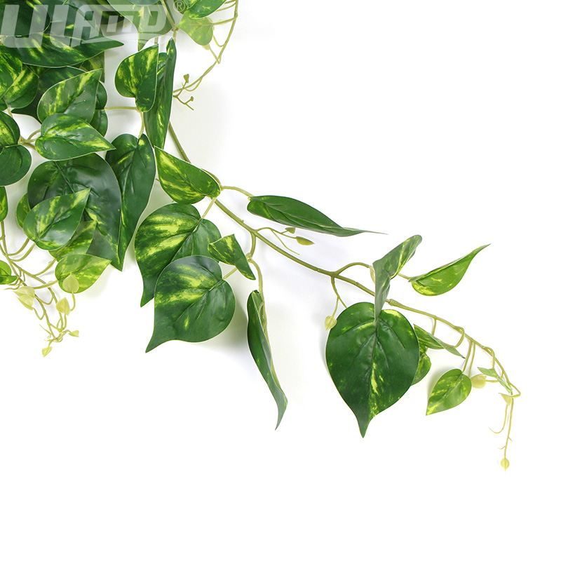 单株仿真植物