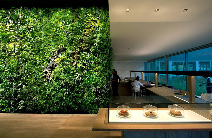 餐厅仿真植物墙效果图