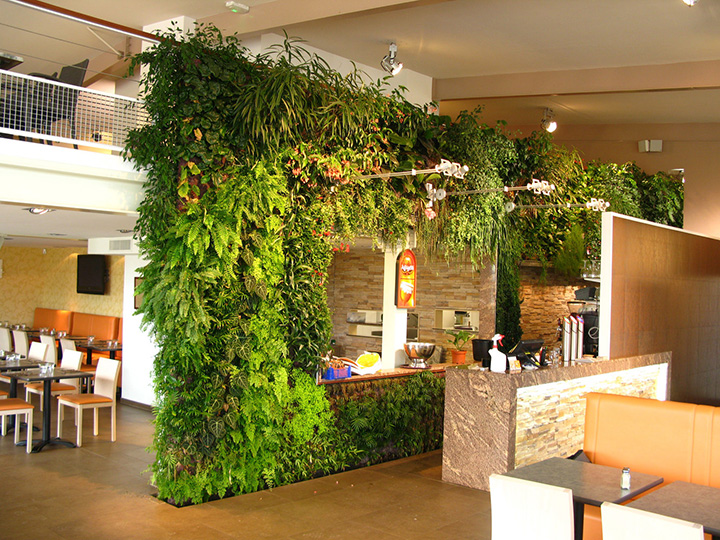 餐饮店绿植墙