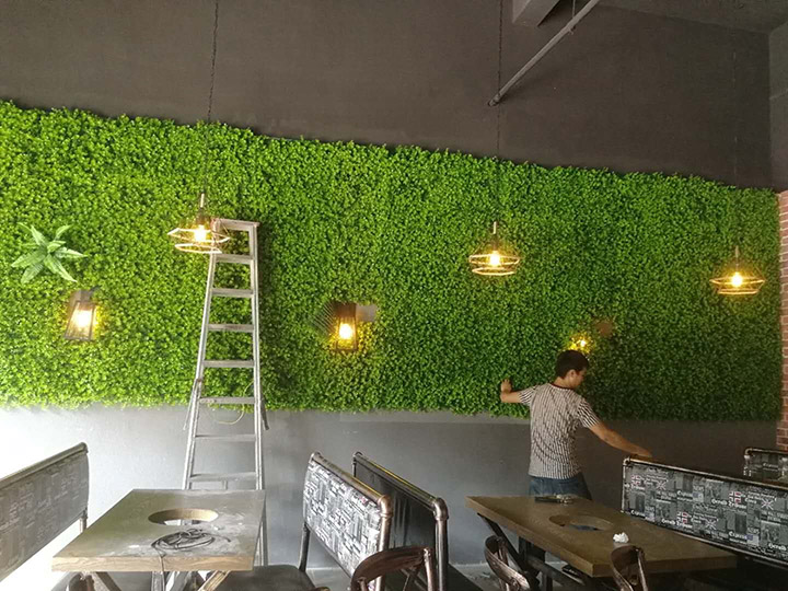 仿真植物金钱叶工程案例