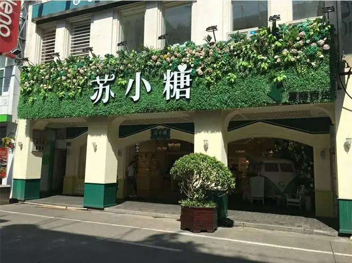 仿真草门头装饰
