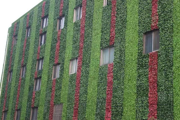 外墙假植物装饰