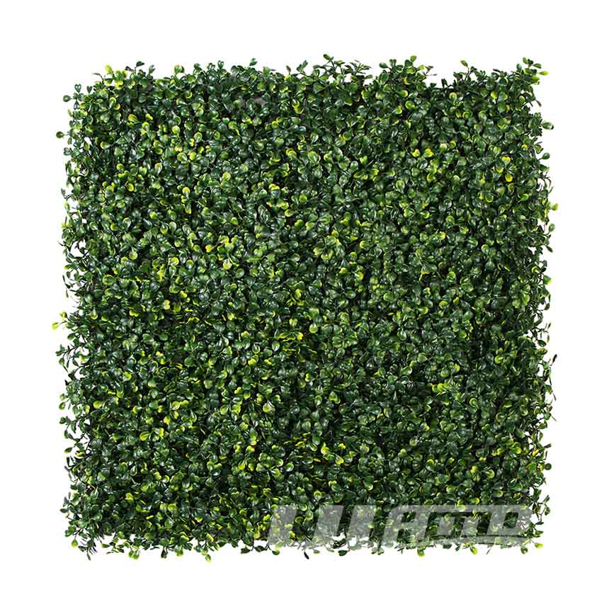 仿真植物米兰黄