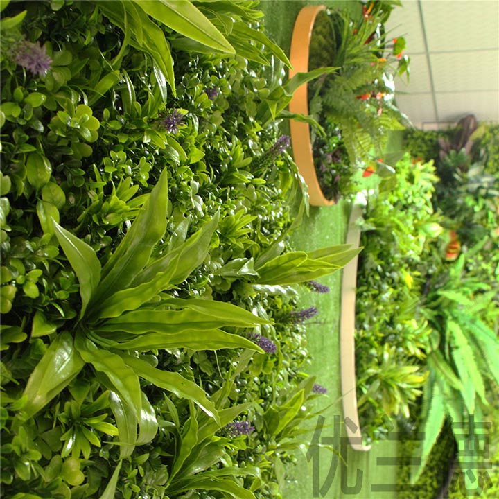 壁挂相框仿真植物