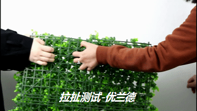 拉扯测试
