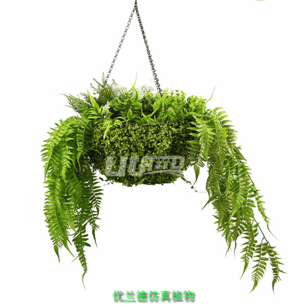 ֲ
