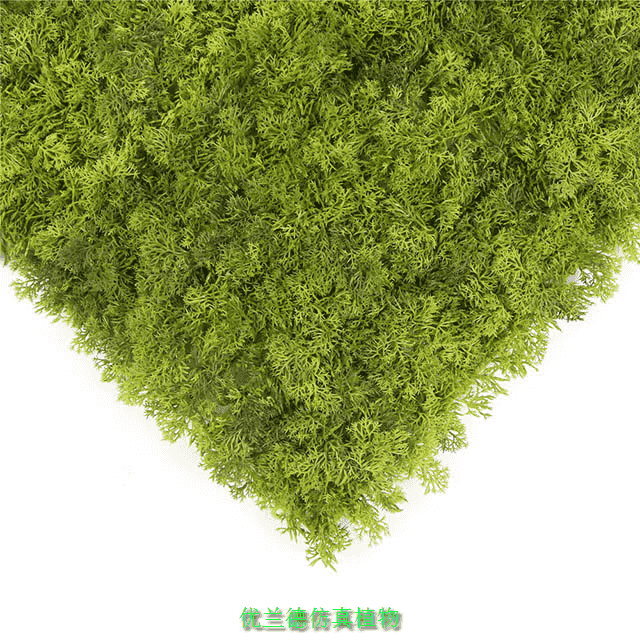 片状仿真植物A123细节图