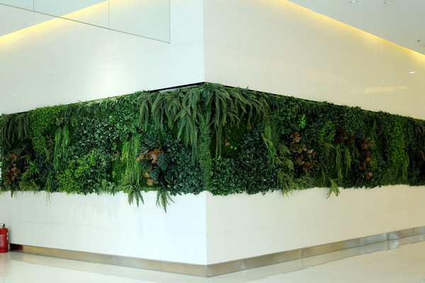 室内创意仿真植物墙
