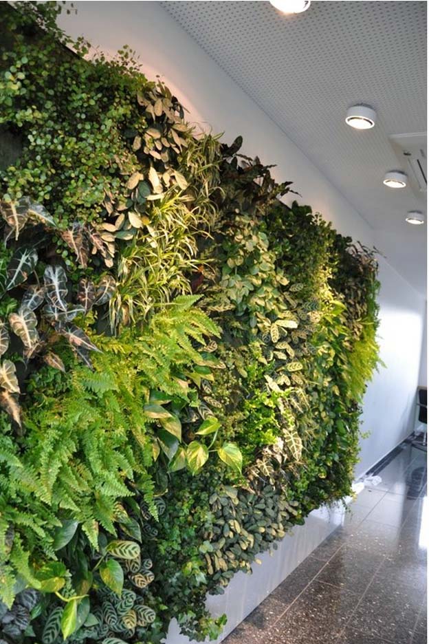 仿生植物景观