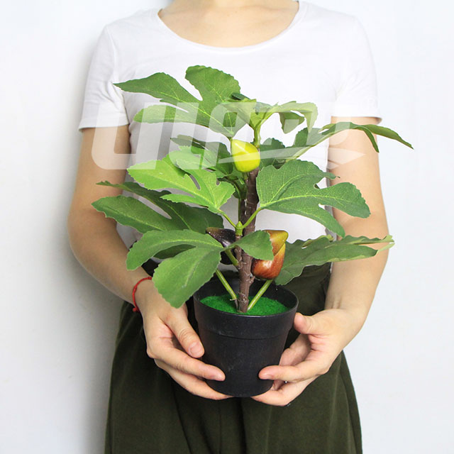 仿真小盆栽无花果