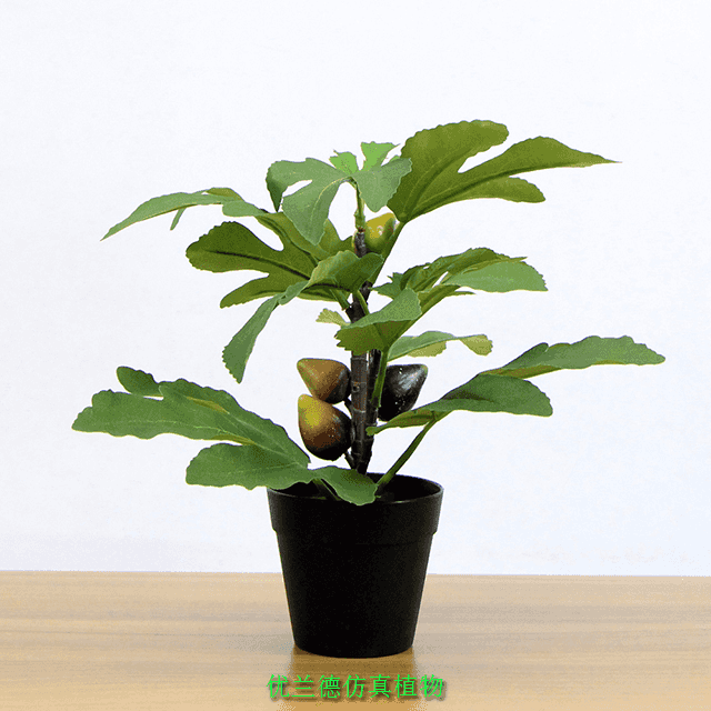 仿真小盆栽无花果