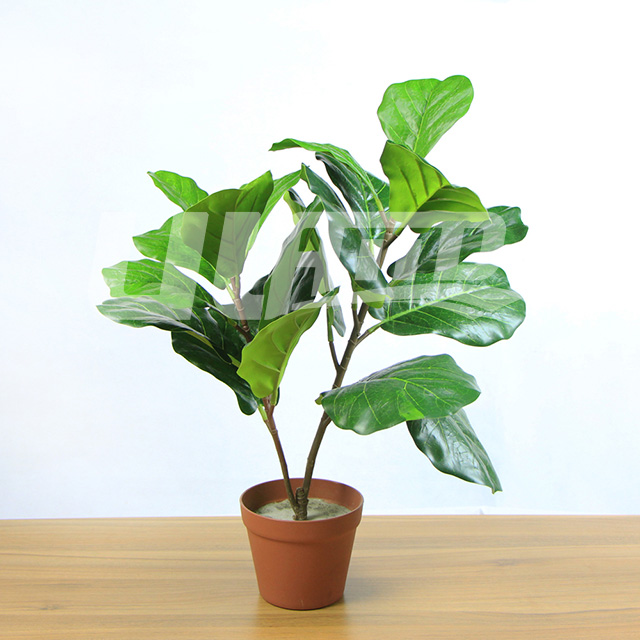 仿真盆栽植物双杆琴叶榕
