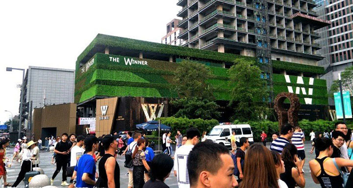 赢家地产售楼部外墙仿真植物墙