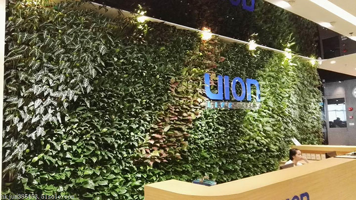 仿真绿植造型墙
