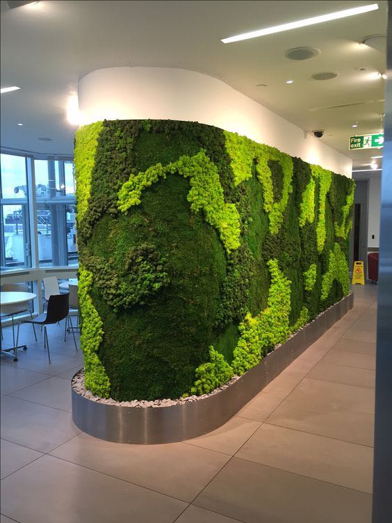 办公室永生苔藓logo植物墙案例