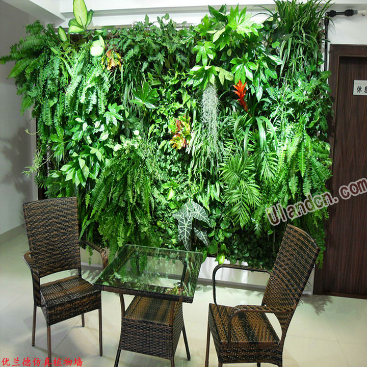 室内立体绿化植物景观