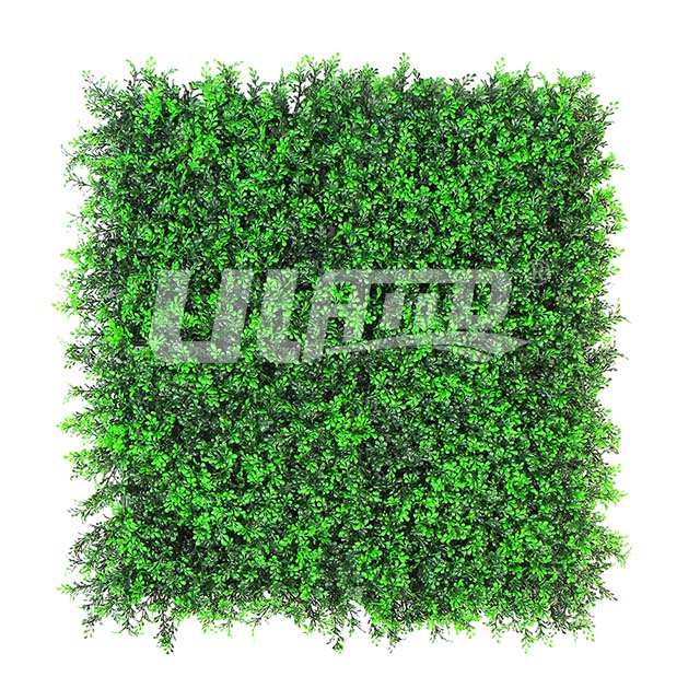 澰ֲA042