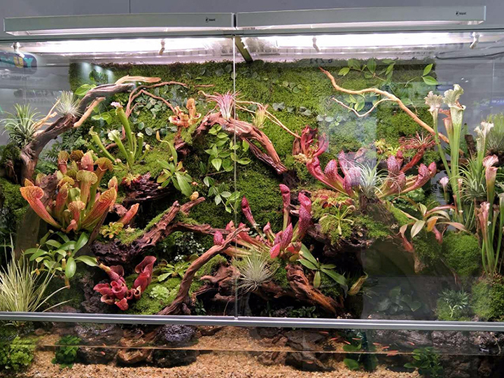 室内仿真植物墙景观