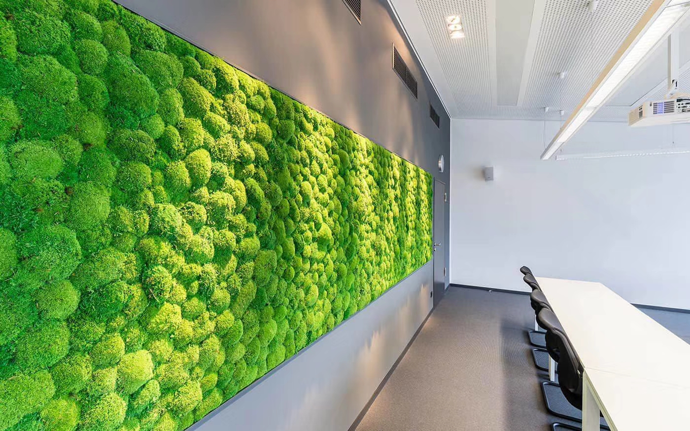 永生苔藓植物墙工程案例_会议室墙面装饰