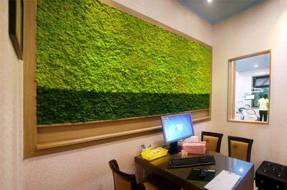 永生苔藓植物墙工程案例_办公室墙面装饰