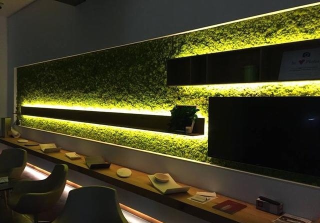 永生苔藓植物墙工程案例_餐厅墙面装饰